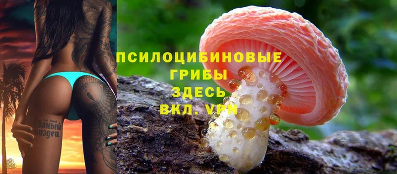 Галлюциногенные грибы Magic Shrooms Серафимович